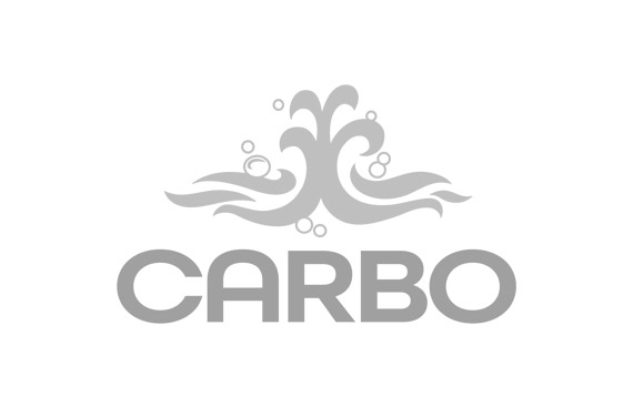 Referenz CARBO Kohlensäurewerke GmbH & Co. KG