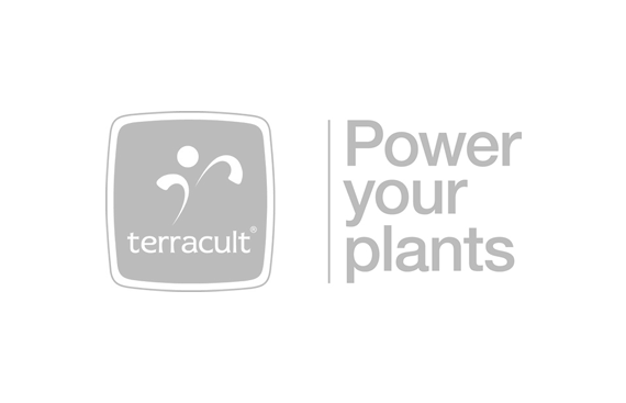 Terracult International GmbH
